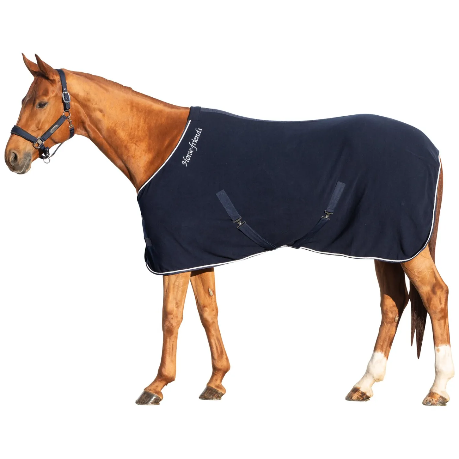 Loesdau Pferdedecken|Transportdecken<Horse-friends Abschwitzdecke Barnsley