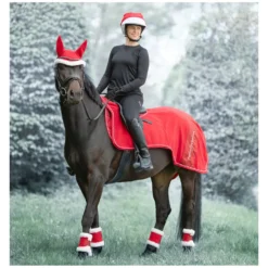 Horse-friends Pferdedecken<Ausreitdecke
