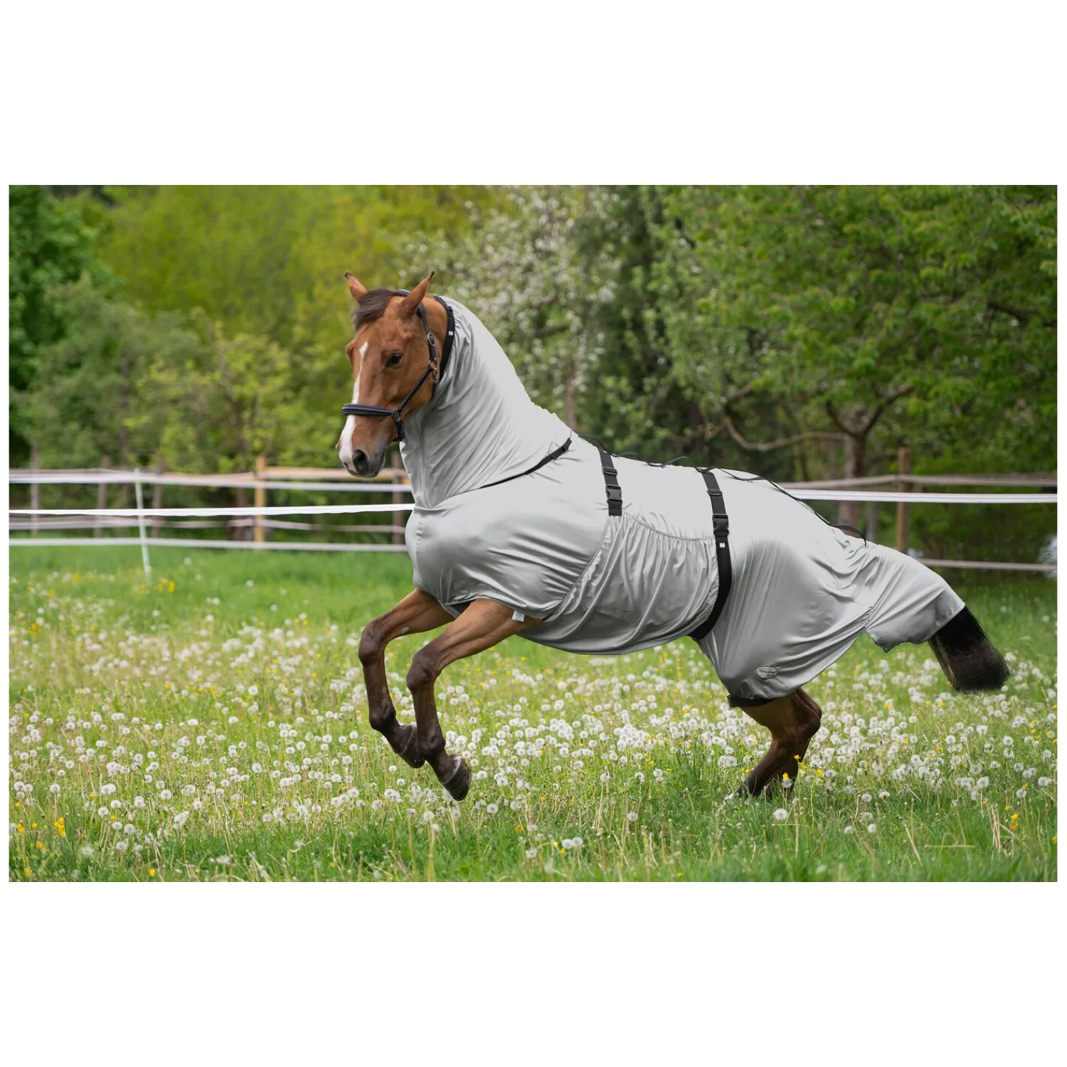 Horse-friends Fliegendecken|Pferdedecken<Ekzemerdecke Basic
