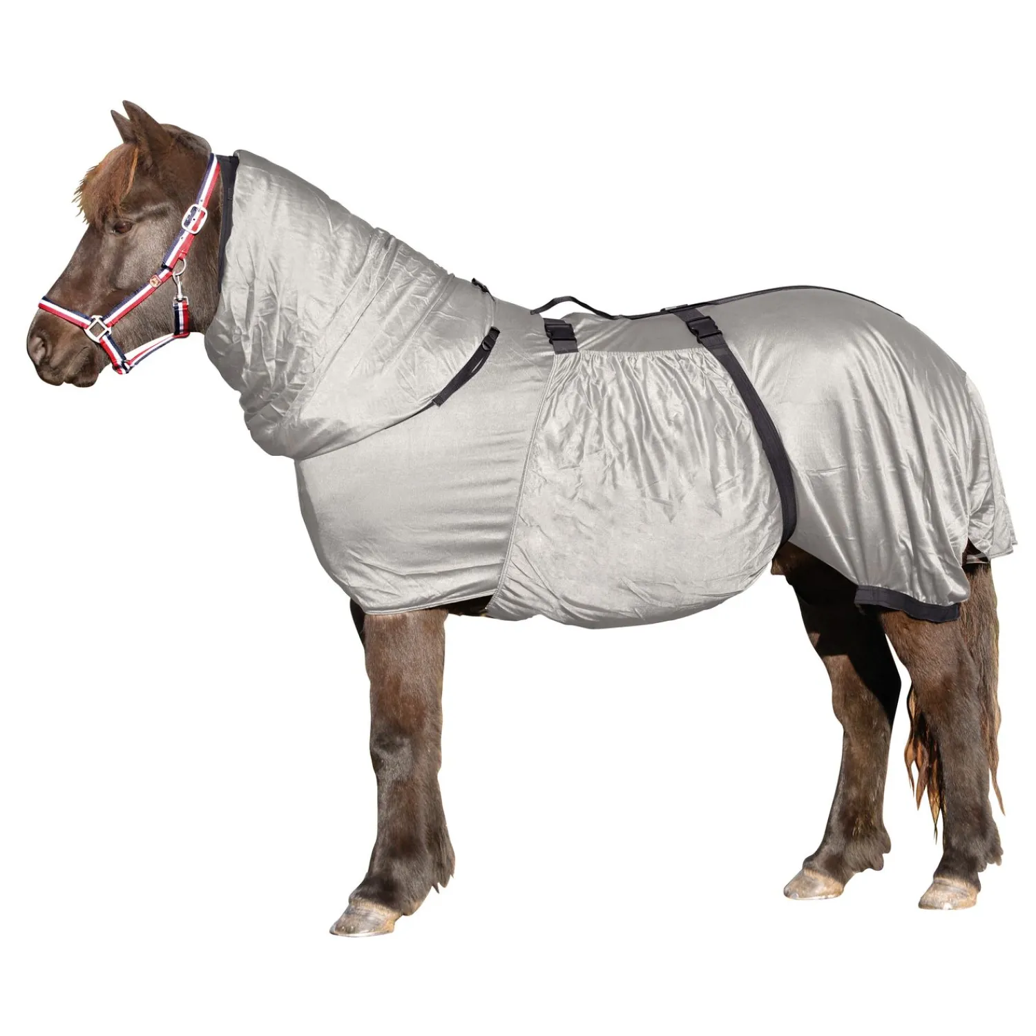 Horse-friends Fliegendecken|Pferdedecken<Ekzemerdecke Basic