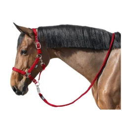 Horse-friends Führstricke<Führ- und Anbindestrick, für Pferde