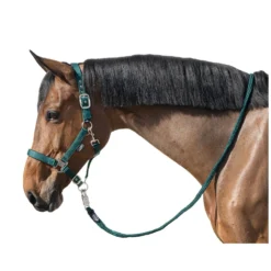 Horse-friends Führstricke<Führ- und Anbindestrick, für Pferde