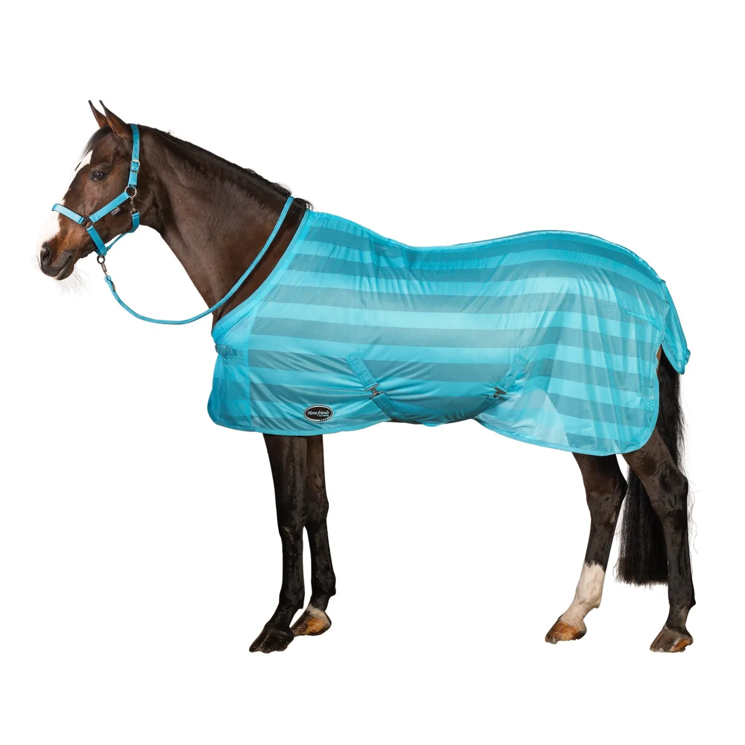Horse-friends Fliegendecken|Pferdedecken<Fliegendecke Basic