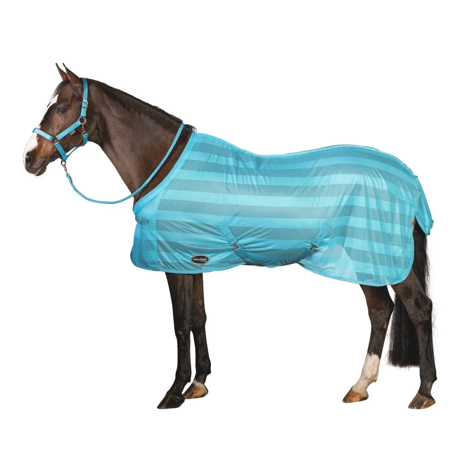 Horse-friends Fliegendecken|Pferdedecken<Fliegendecke Basic