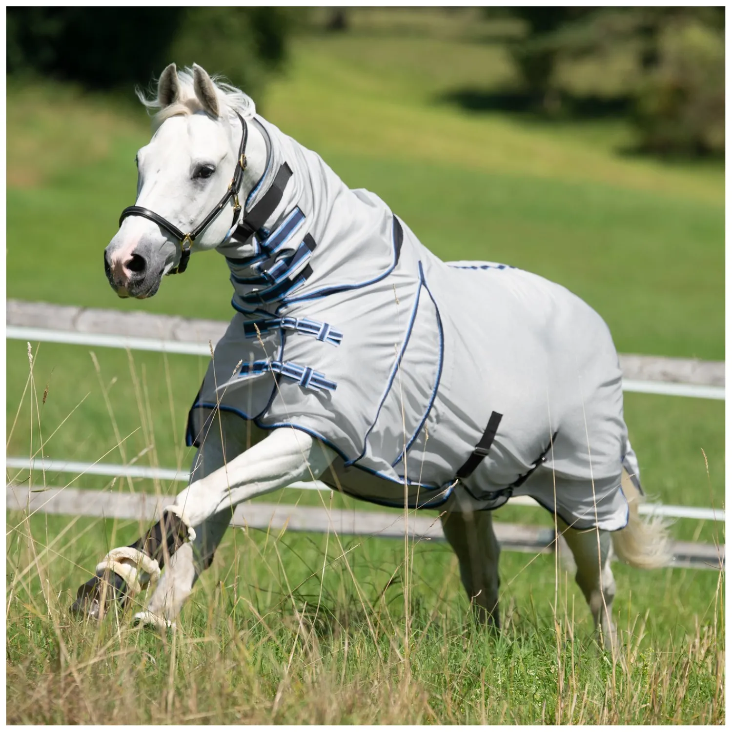 Horse-friends Fliegendecken|Pferdedecken<Fliegendecke Craiova mit elastischem Einsatz