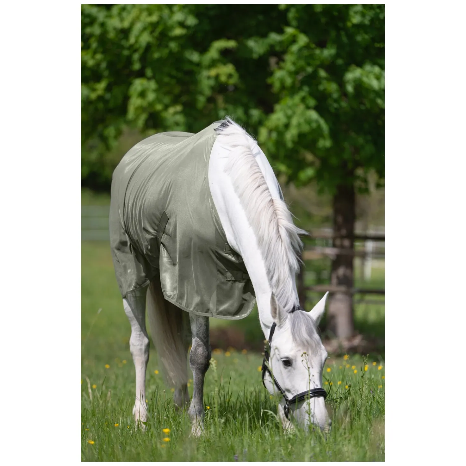 Horse-friends Fliegendecken|Pferdedecken<Fliegendecke feinmaschig