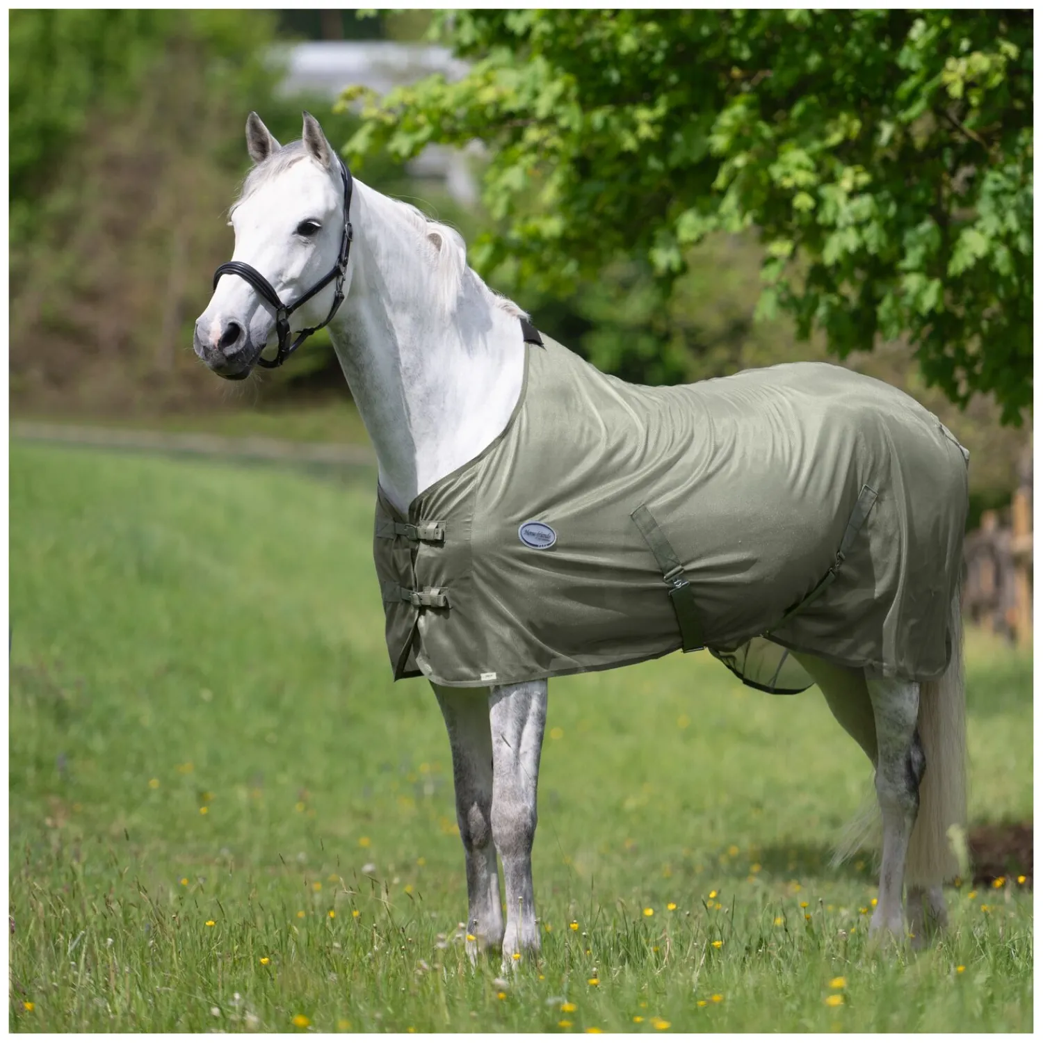 Horse-friends Fliegendecken|Pferdedecken<Fliegendecke feinmaschig