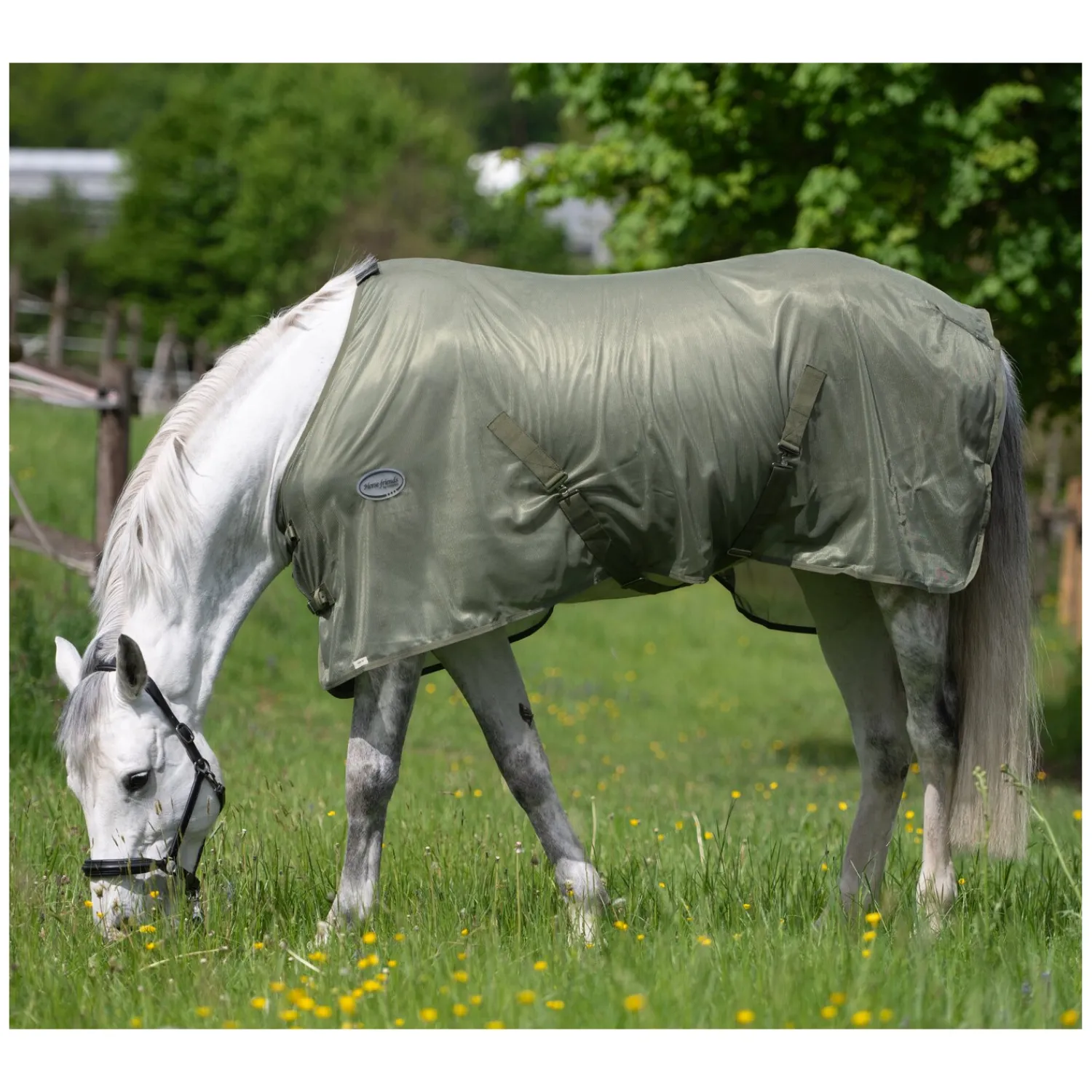 Horse-friends Fliegendecken|Pferdedecken<Fliegendecke feinmaschig