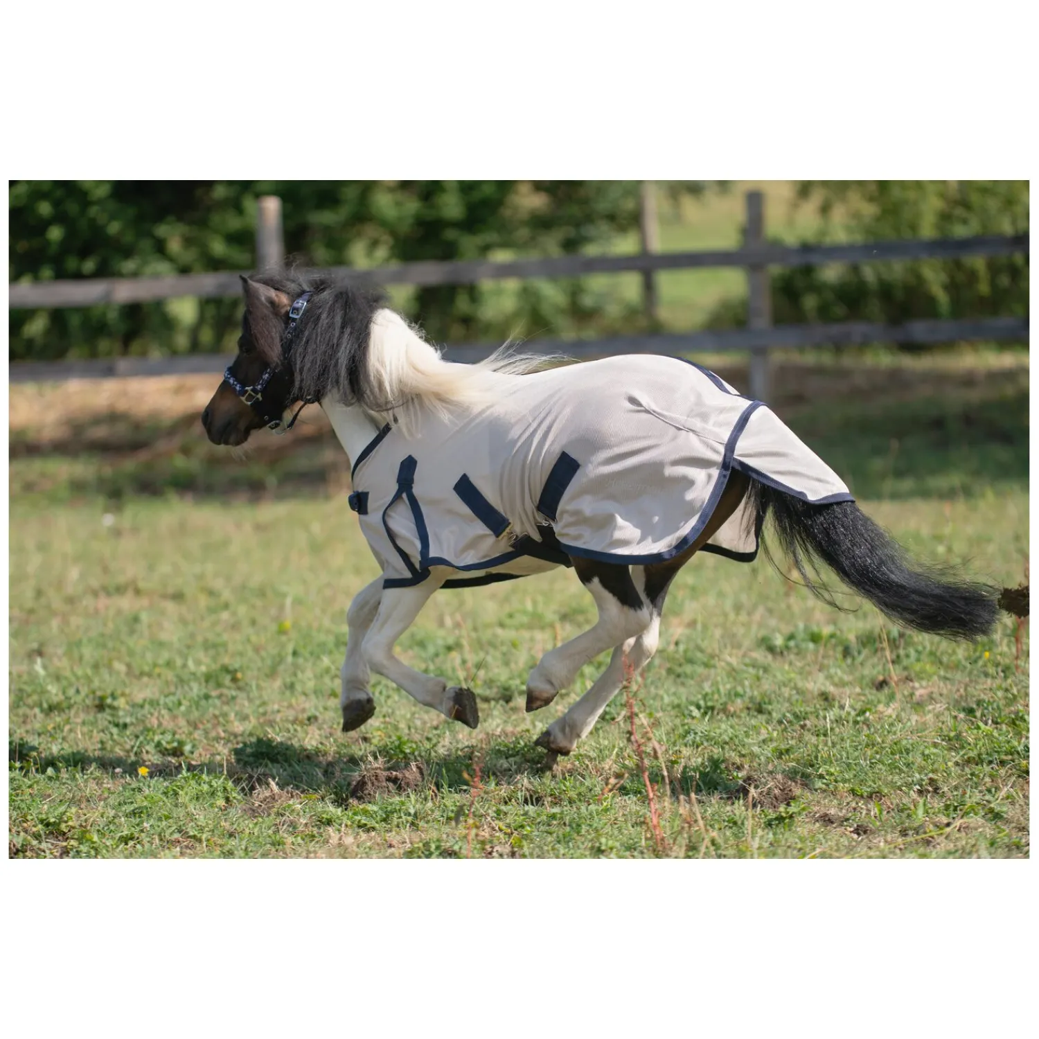 Horse-friends Fliegendecken|Pferdedecken<Fliegendecke für Shetty und Pony
