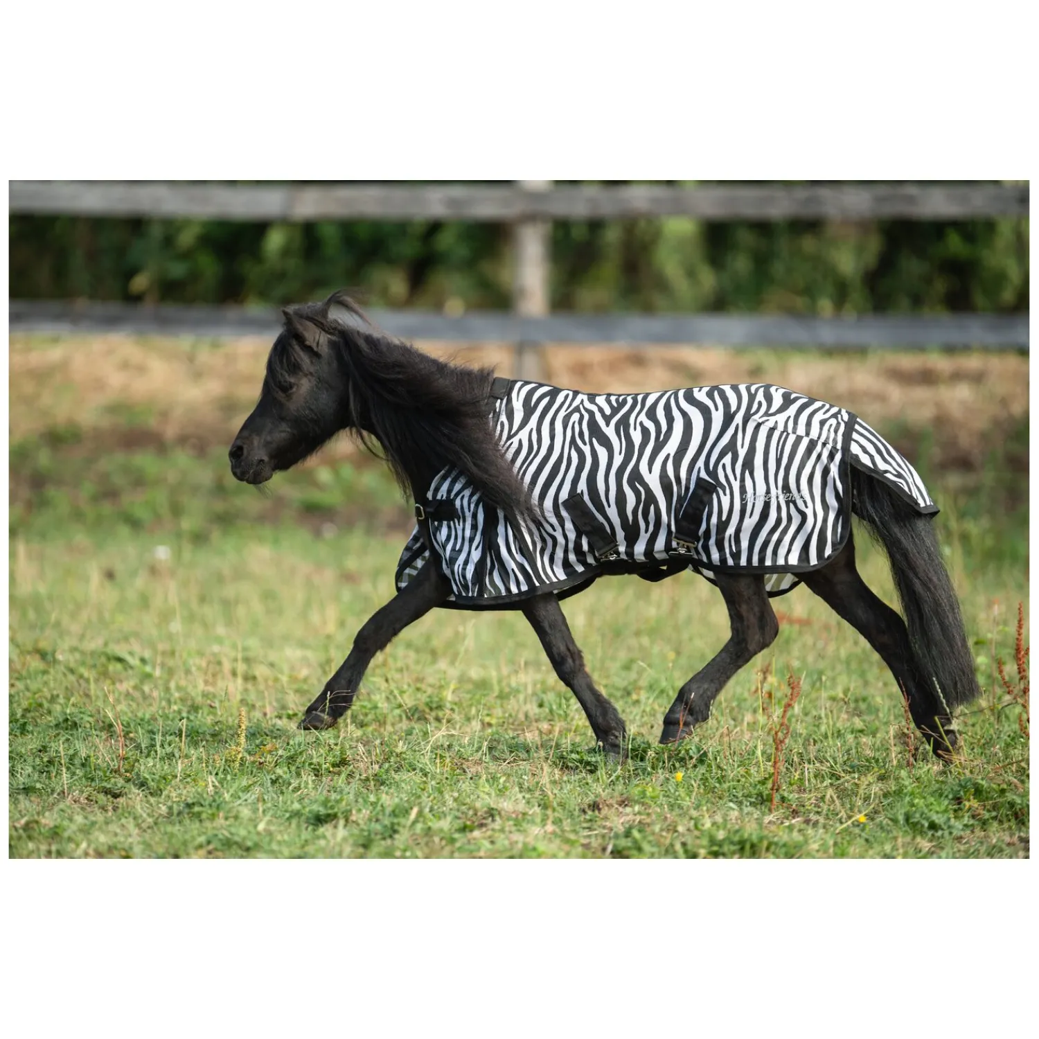 Horse-friends Fliegendecken|Pferdedecken<Fliegendecke für Shetty und Pony
