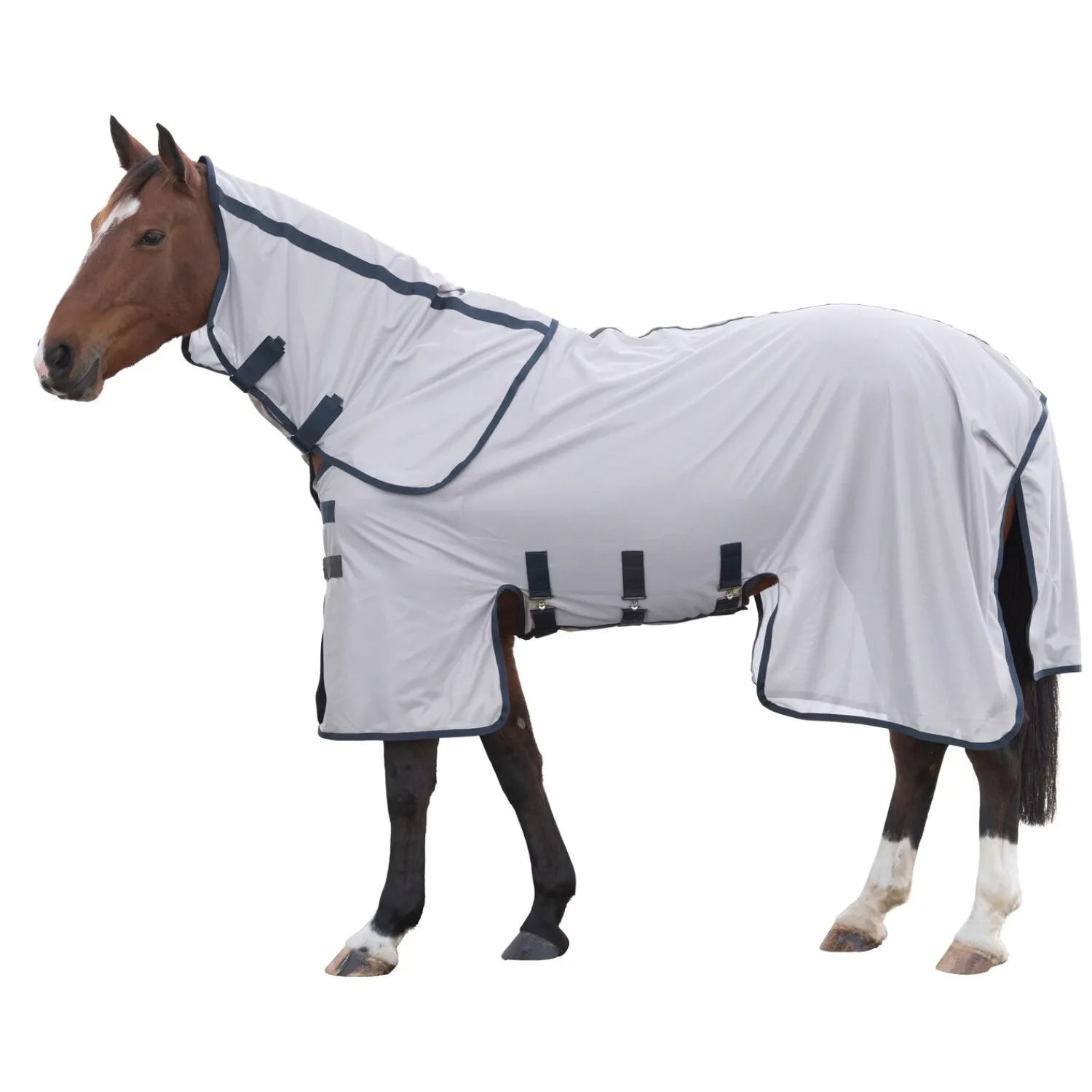 Horse-friends Fliegendecken|Pferdedecken<Fliegendecke Portsmouth mit Halsteil