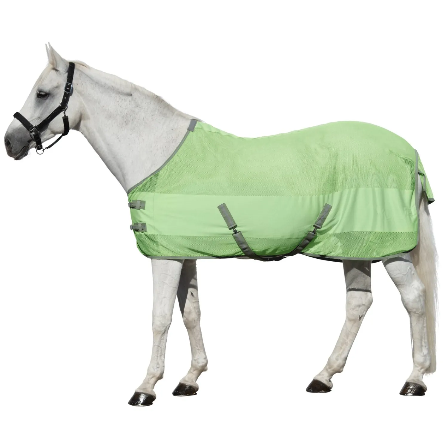 Horse-friends Fliegendecken|Pferdedecken<Fliegendecke Sintra