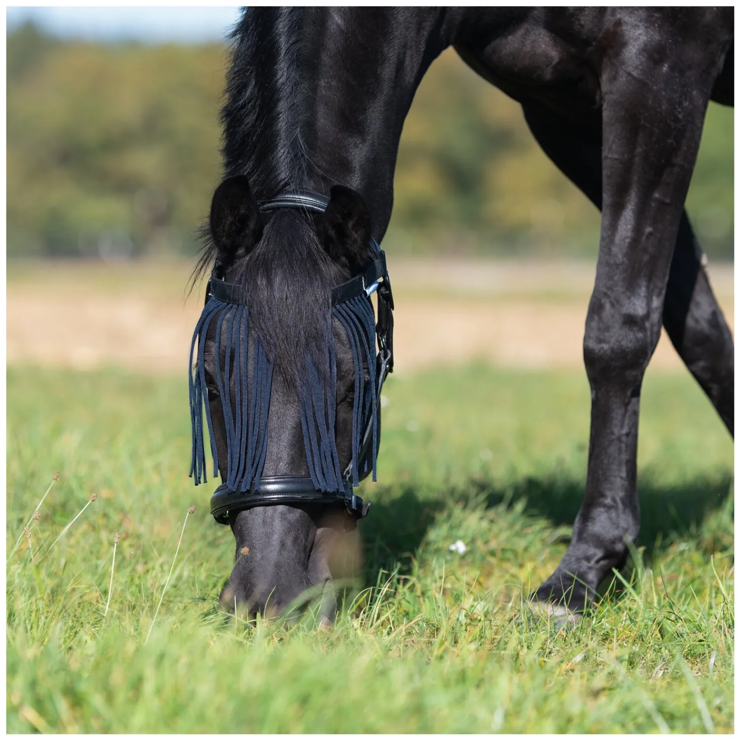 Horse-friends Fliegenstirnbänder<Fliegenstirnband