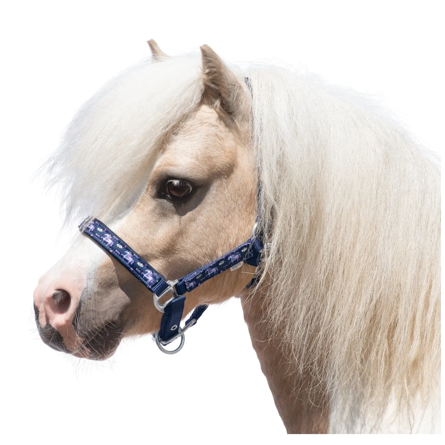 Horse-friends Halfter<Halfter
