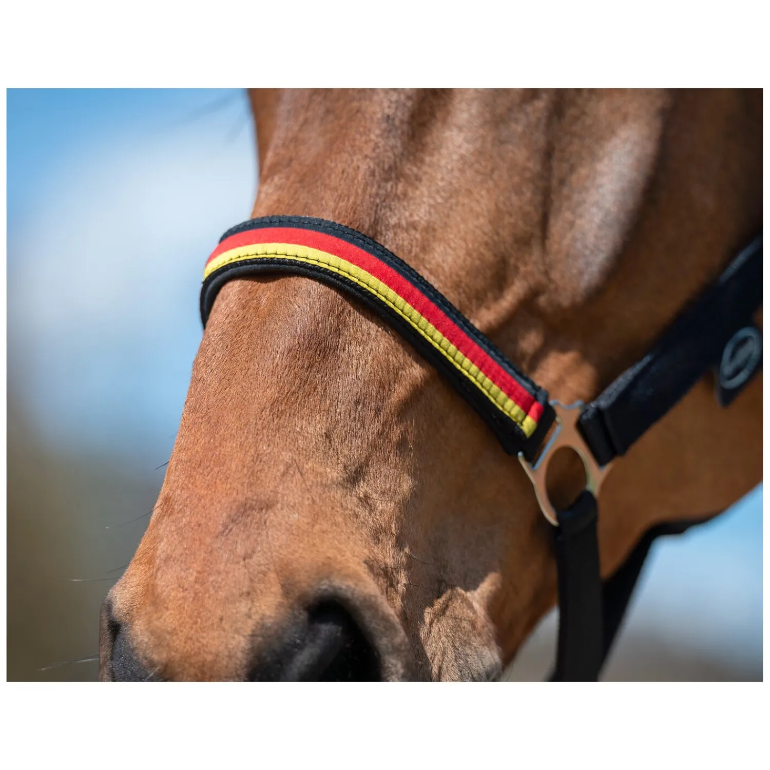 Horse-friends Halfter<Halfter Deutschland WM 2026