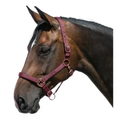 Horse-friends Halfter<Halfter Lima