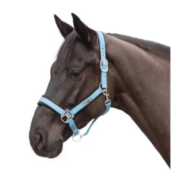 Horse-friends Halfter<Halfter Seattle