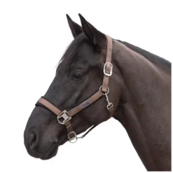 Horse-friends Halfter<Halfter Seattle