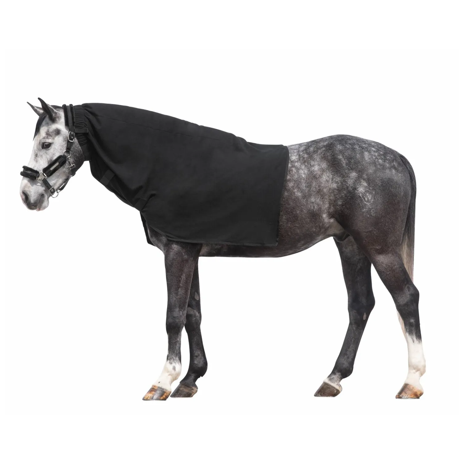 Loesdau Deckenzubehör<Horse-friends Halsteil
