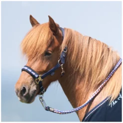 Loesdau Halfter<Horse-friends Island-Halfter Keflavik