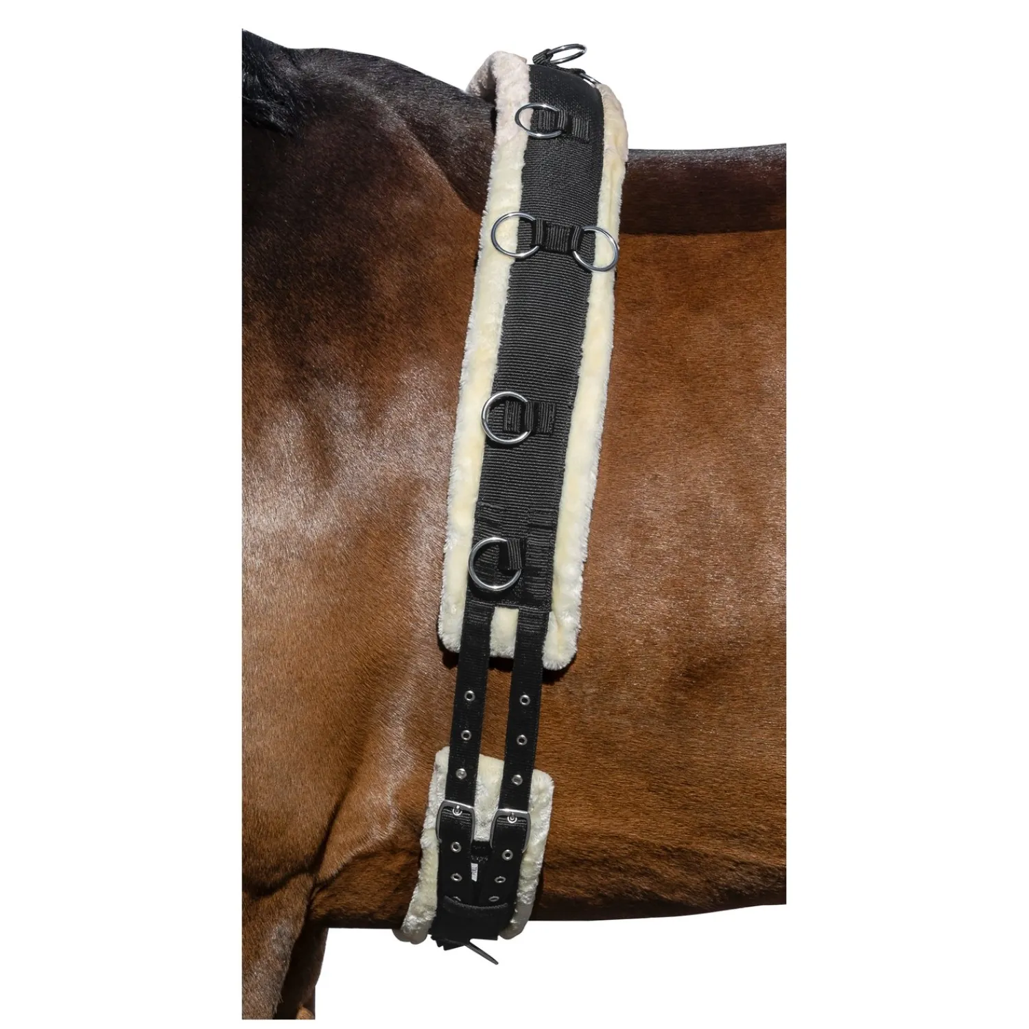 Horse-friends Longiergurte<Longiergurt Comfort