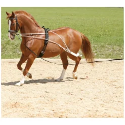 Loesdau Longierhilfen<Horse-friends Longiersystem