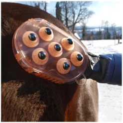 Loesdau Pferdeputzzeug|Therapie<Horse-friends Massage- und Putzhandschuh