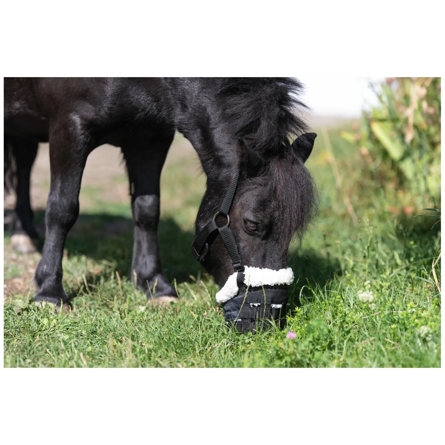 Horse-friends Maulkörbe & Fressbremsen<Maulkorb mit Fell
