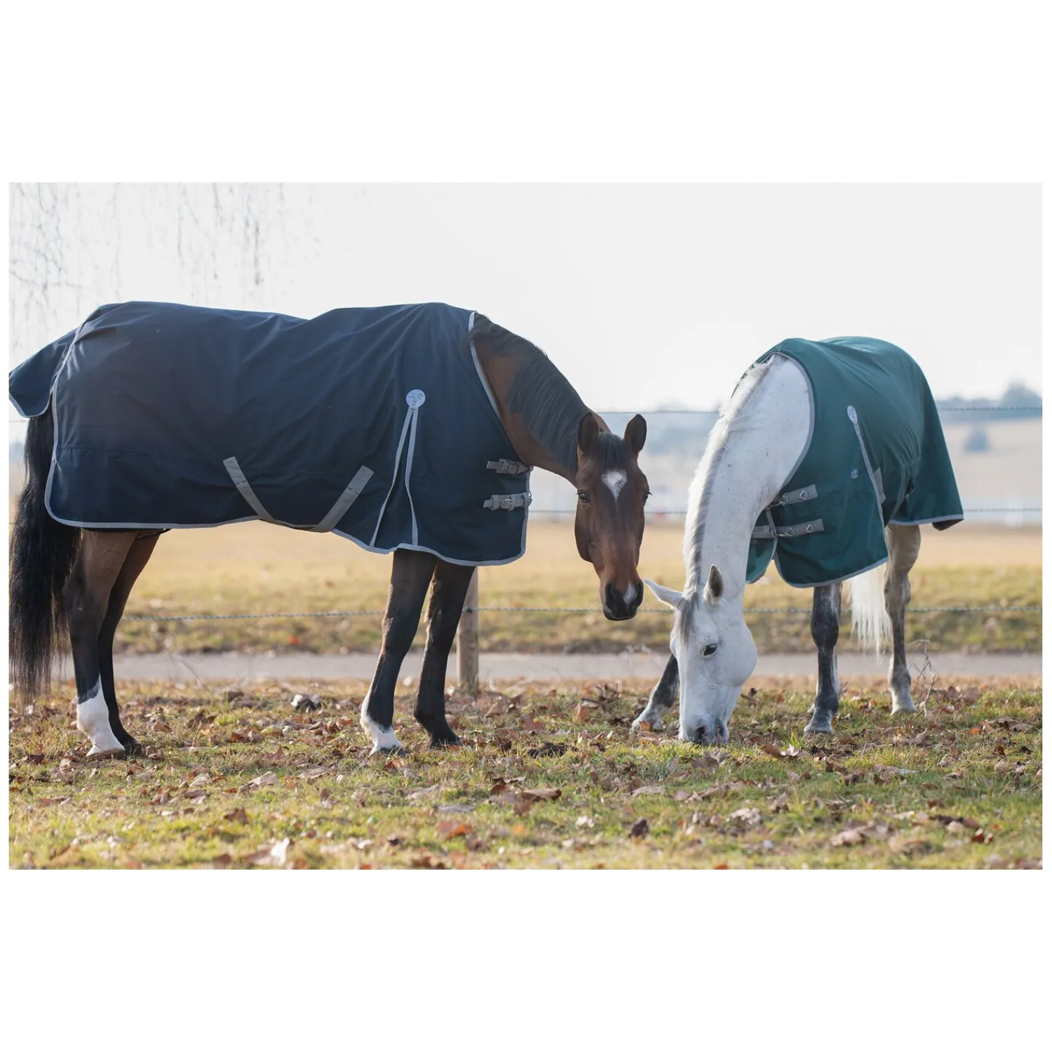 Horse-friends Pferdedecken<Outdoordecke Hamburg II 0g