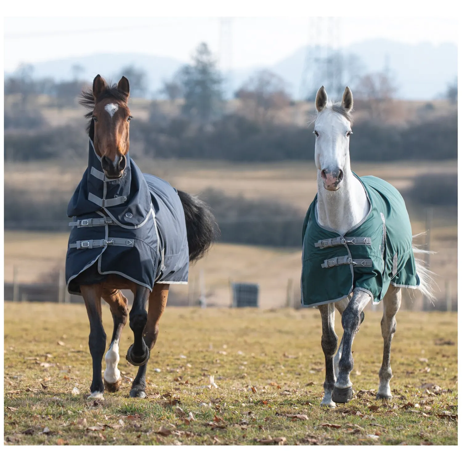 Horse-friends Pferdedecken<Outdoordecke Hamburg II 0g