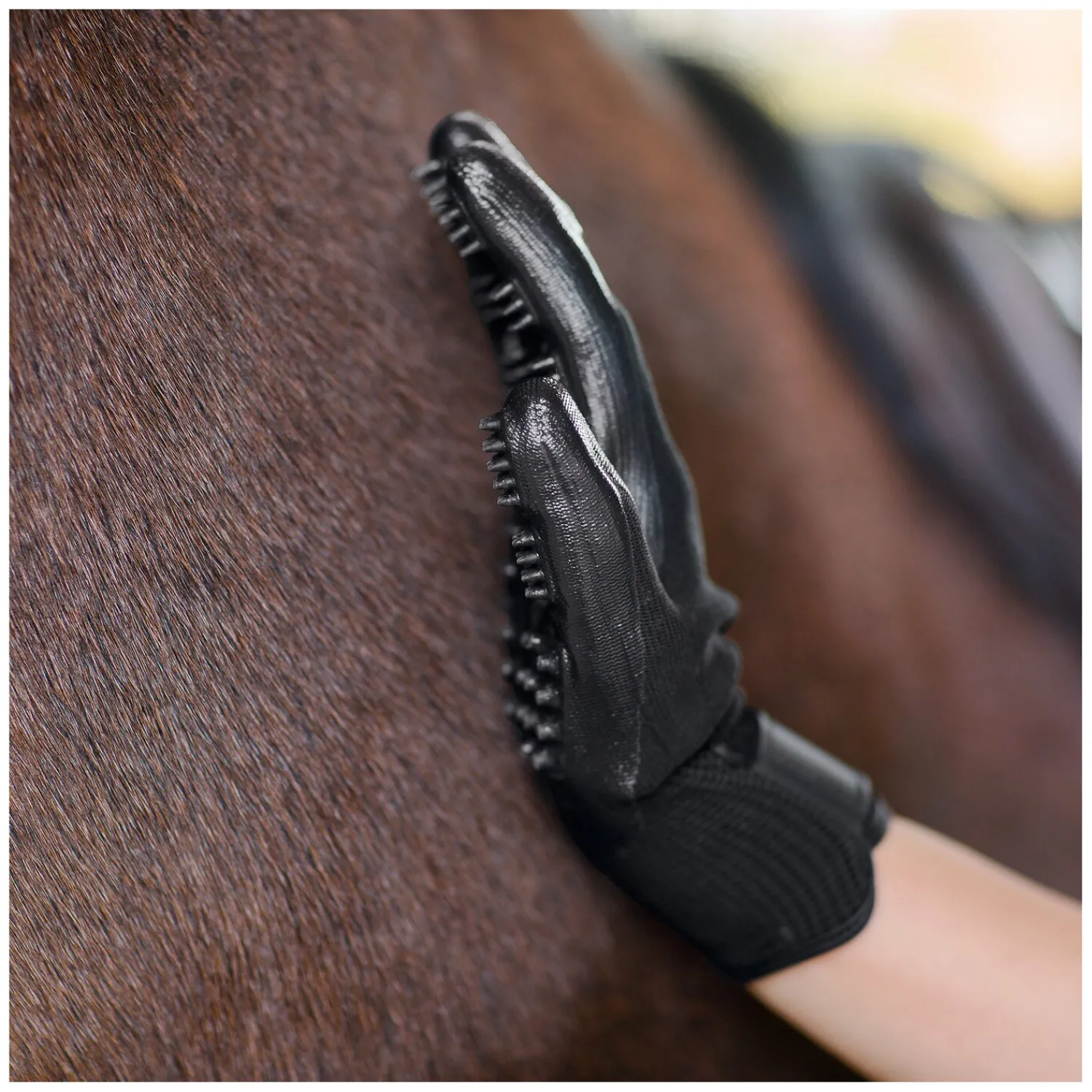 Horse-friends Pferdeputzzeug|Therapie<Pfegehandchuhe