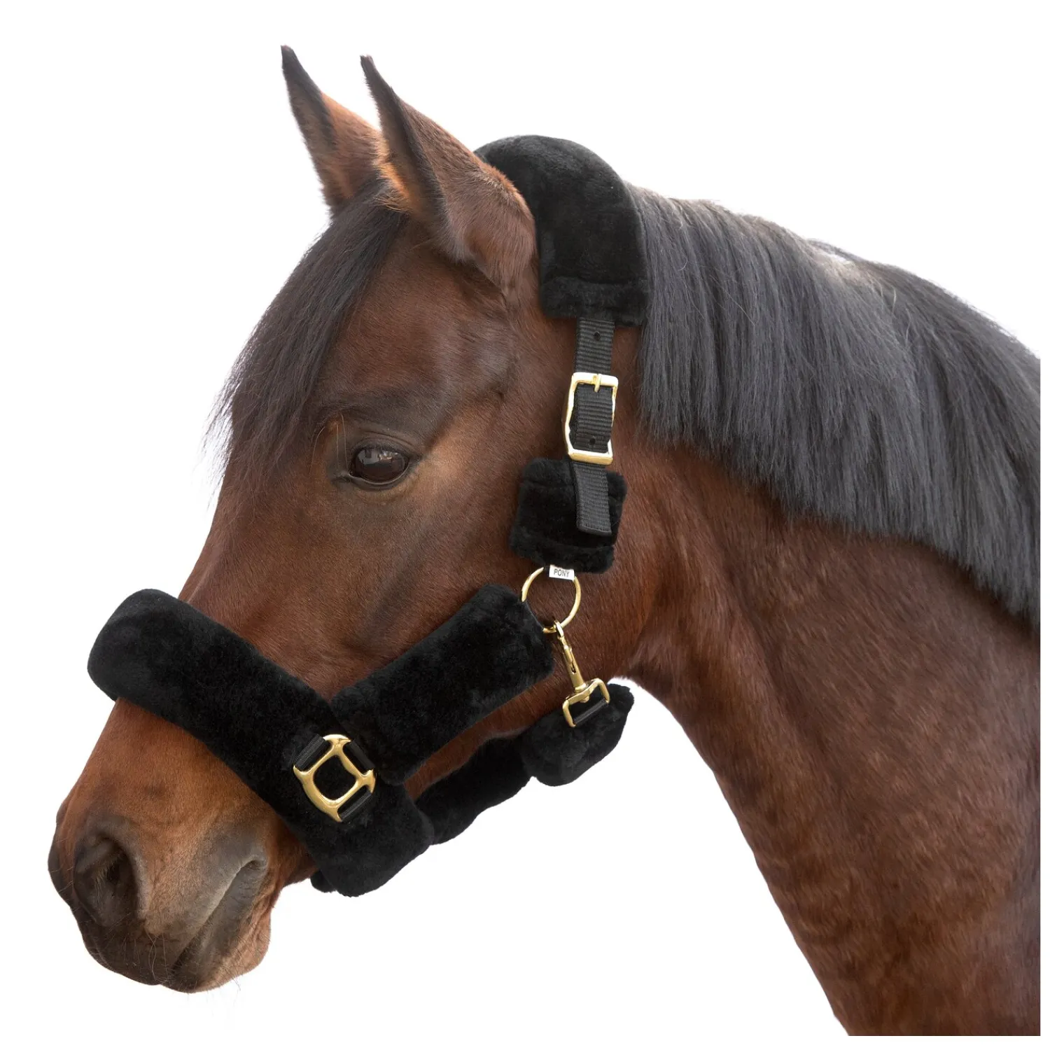 Horse-friends Geschenke Für Reiter|Halfter<Plüschhalfter Almada