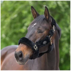 Horse-friends Geschenke Für Reiter|Halfter<Plüschhalfter Almada