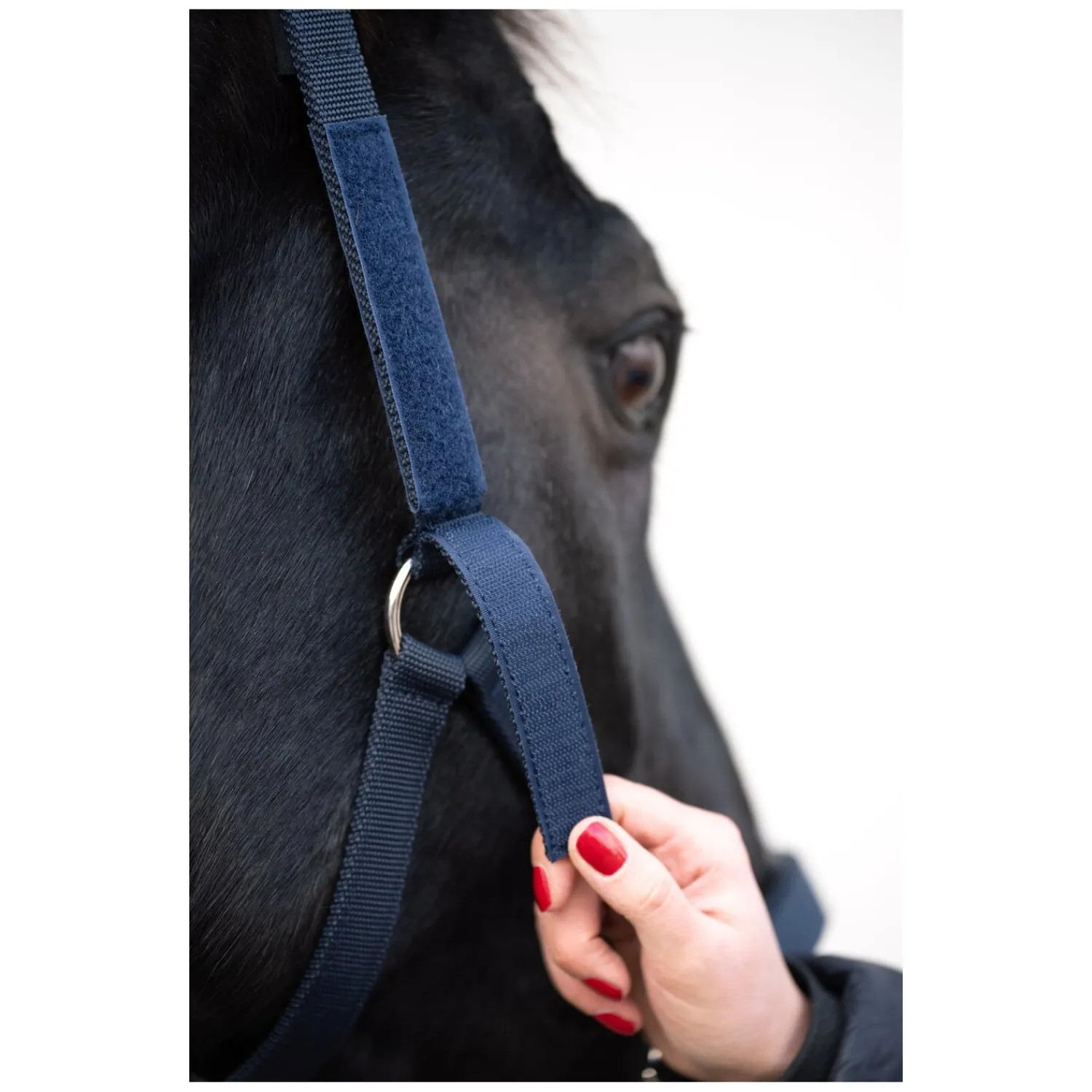 Horse-friends Halfter<Sicherheits-Halfter