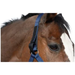 Horse-friends Halfter<Sicherheits-Halfter