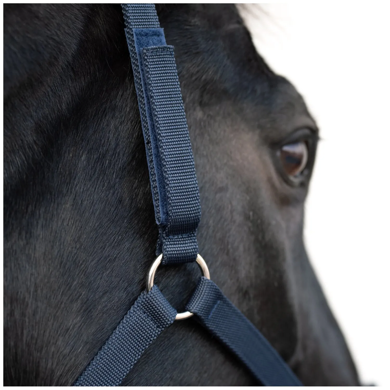 Horse-friends Halfter<Sicherheits-Halfter