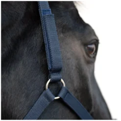 Horse-friends Halfter<Sicherheits-Halfter