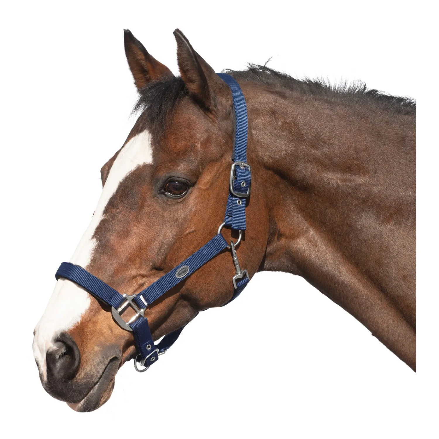 Horse-friends Halfter<Sicherheits-Halfter