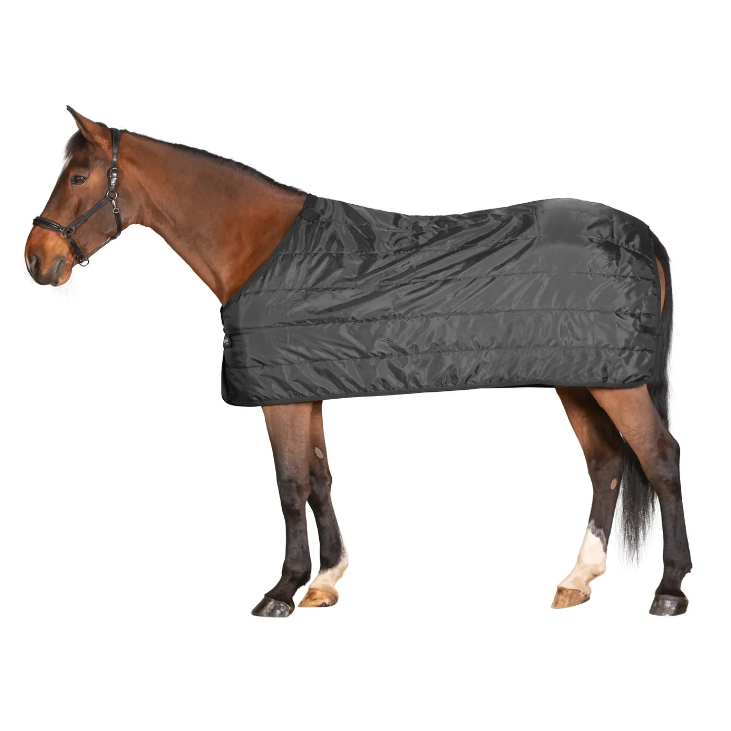 Horse-friends Pferdedecken<Unterdecke Universal 100 g