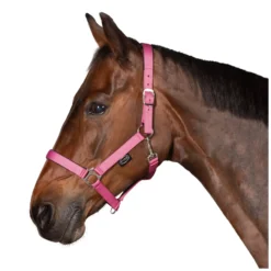 Horse-friends Halfter<Webhalfter Pin Buckle