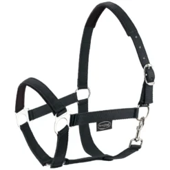 Horse-friends Halfter<Webhalfter Pin Buckle