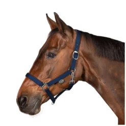 Horse-friends Halfter<Webhalfter Pin Buckle