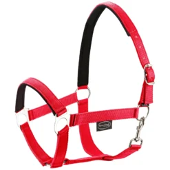 Horse-friends Halfter<Webhalfter Pin Buckle