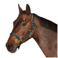 Horse-friends Halfter<Webhalfter Pin Buckle