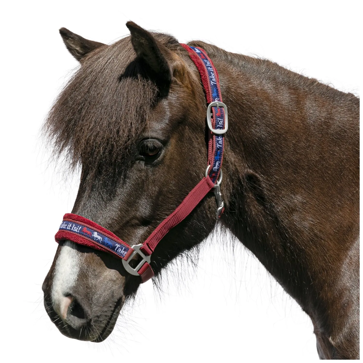 Horse-friends Halfter<Webhalfter Take it Isi
