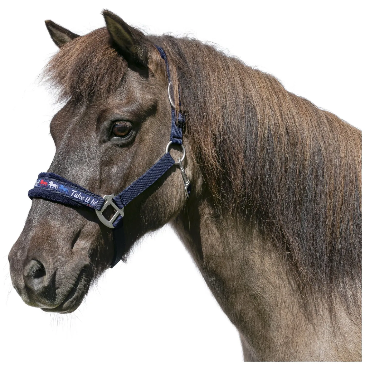 Horse-friends Halfter<Webhalfter Take it Isi