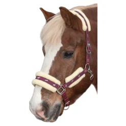 Horse-friends Halfter<Webhalfter Vigo mit Kunstfell