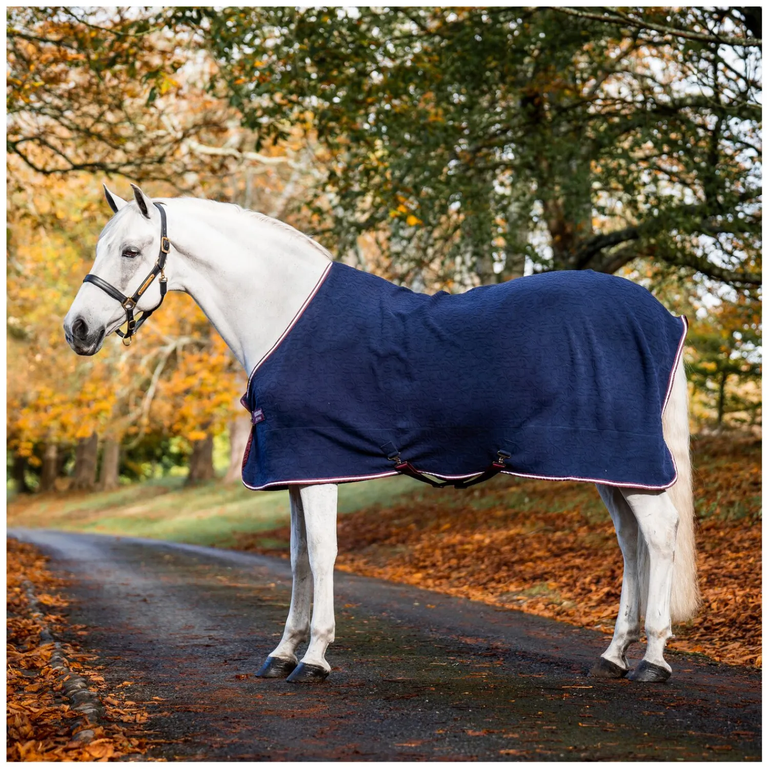 Horseware Pferdedecken|Transportdecken<Abschwitzdecke Jersey Cooler AMIGO Embossed