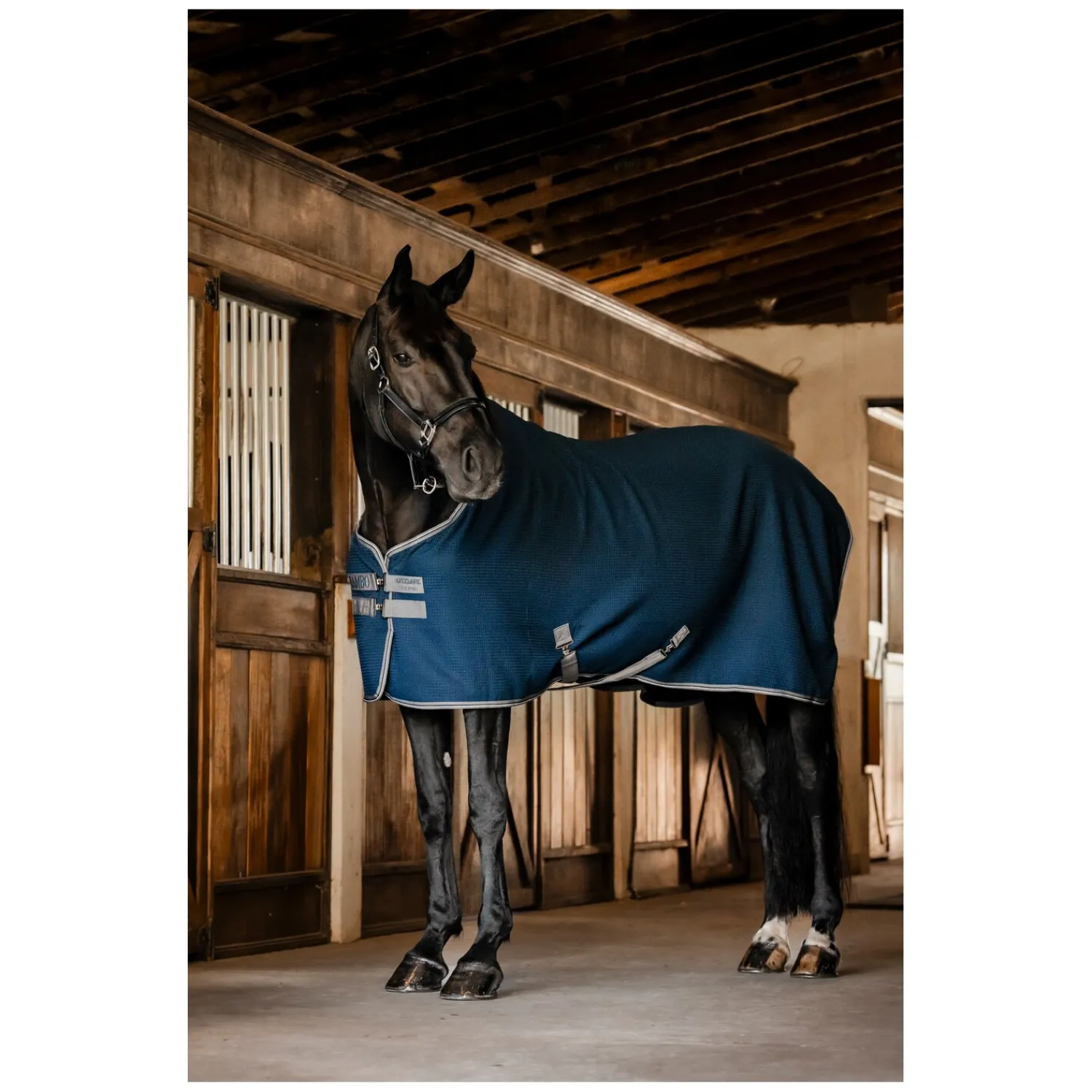 Horseware Pferdedecken|Transportdecken<Abschwitzdecke RAMBO Techni Waffle Cooler