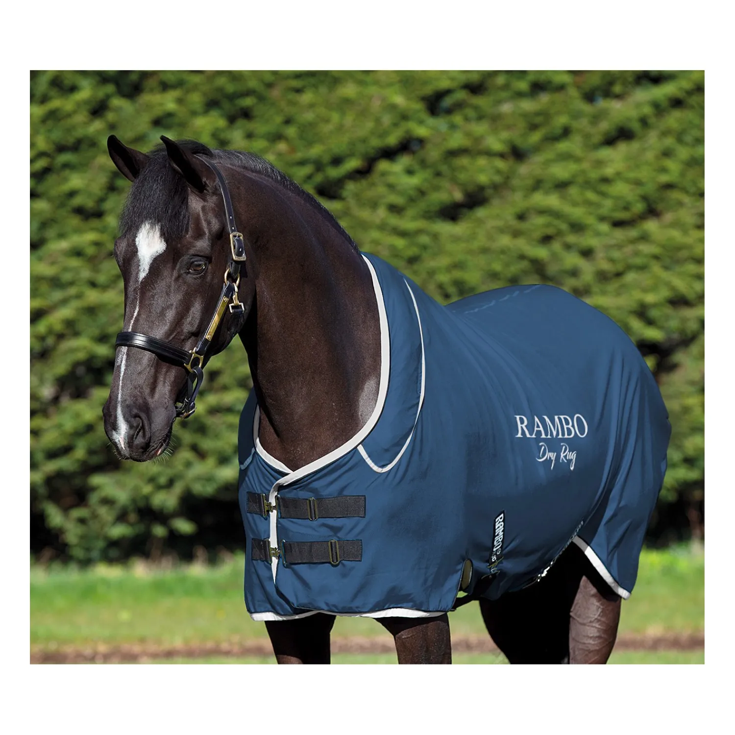 Horseware Pferdedecken|Transportdecken<Abschwitzdecke RAMBO Dry Rug Supreme